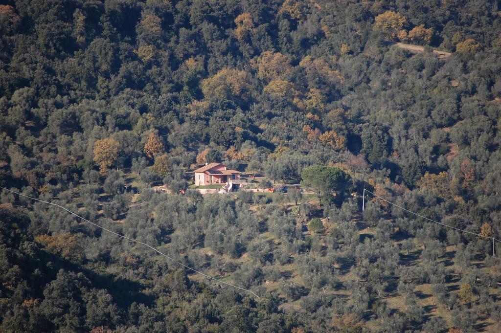 Il Pino Bed & Breakfast Vetulonia Exterior photo